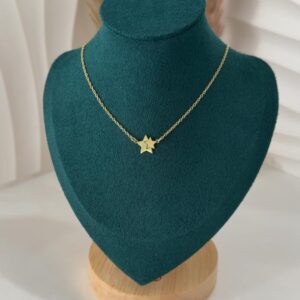 VARESE ARGJENDI PER FEMRA